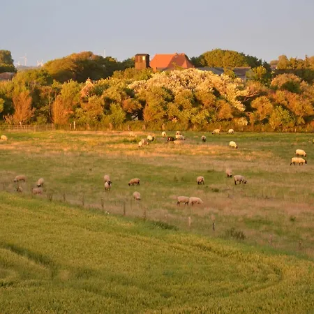 An Der Nordsee Διαμέρισμα *