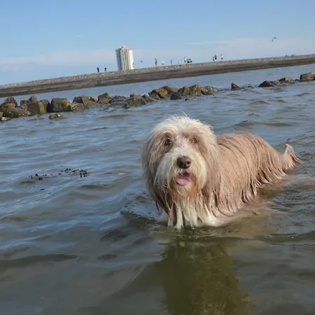 An Der Nordsee Διαμέρισμα *